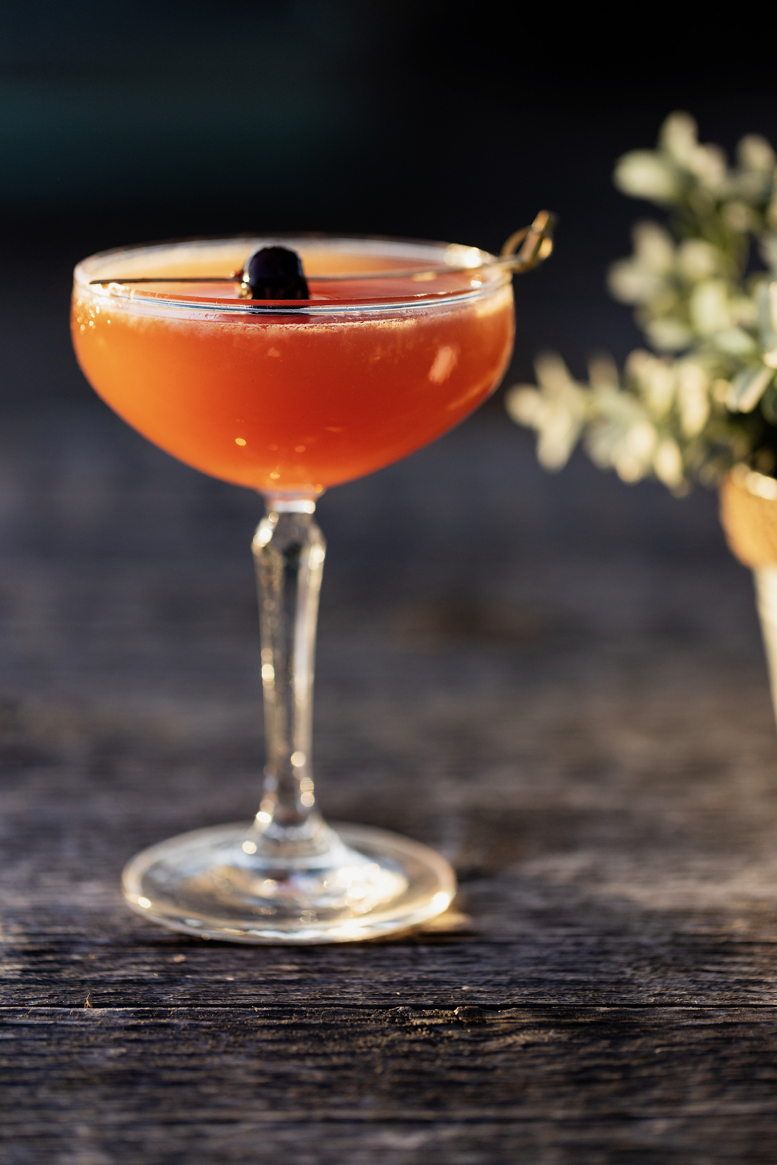 Orange-colored craft cocktail in a coupe glass with a cherry garnish, served on a wooden table at Old Florida Fish House.